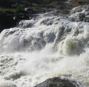 murchison-falls Tour