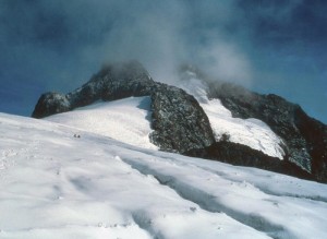 rwenzori site